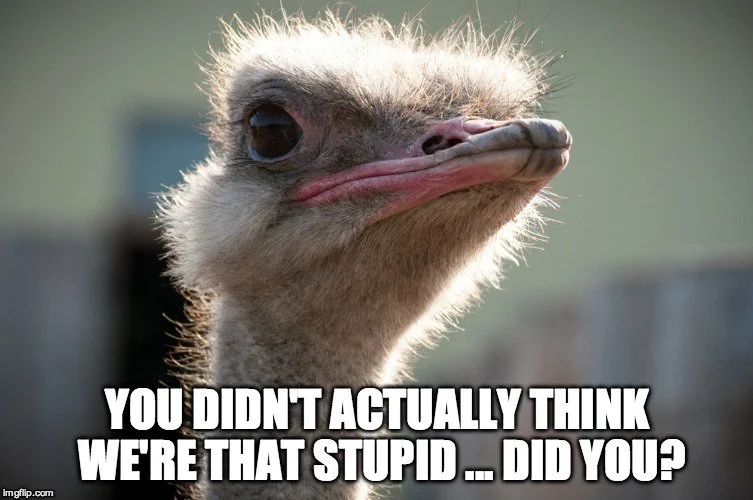 Ostrich