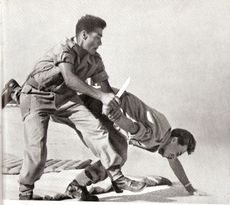 Israeli Martial Arts